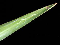 © Landcare Research 2012 